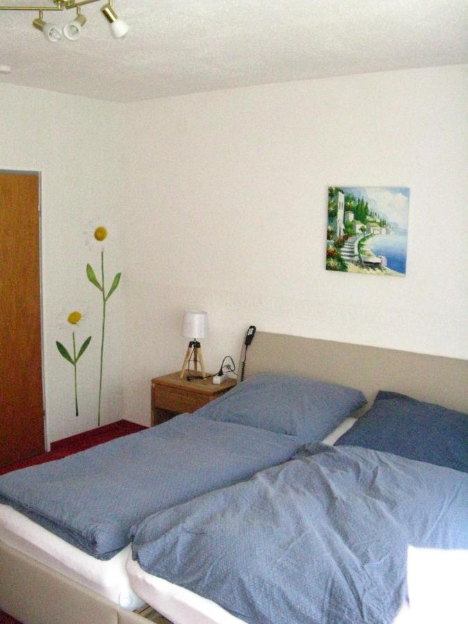 Bio-Hotel Zum Forsthaus アルテンアウ エクステリア 写真