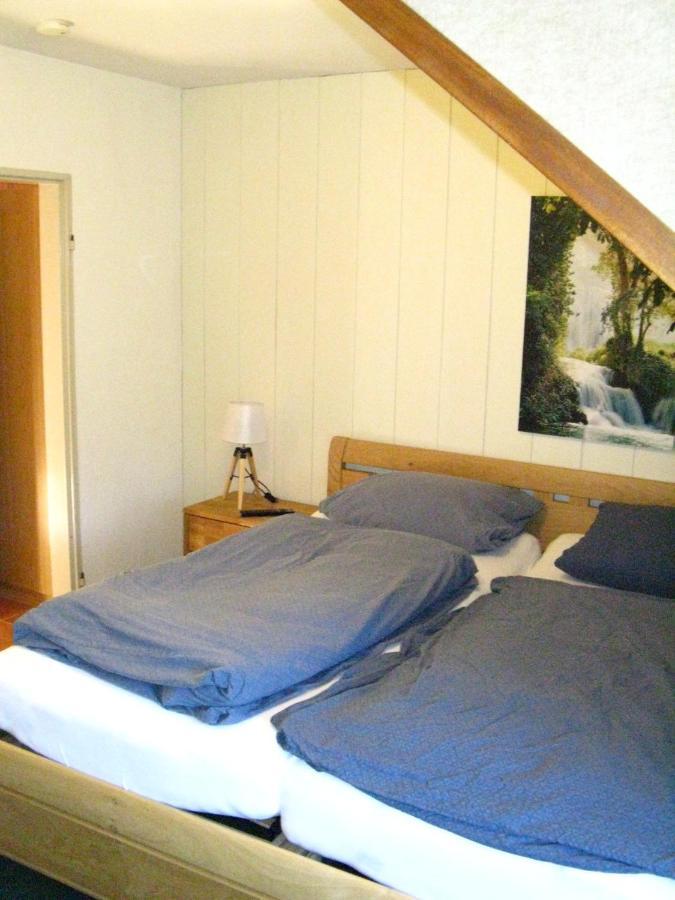 Bio-Hotel Zum Forsthaus アルテンアウ エクステリア 写真