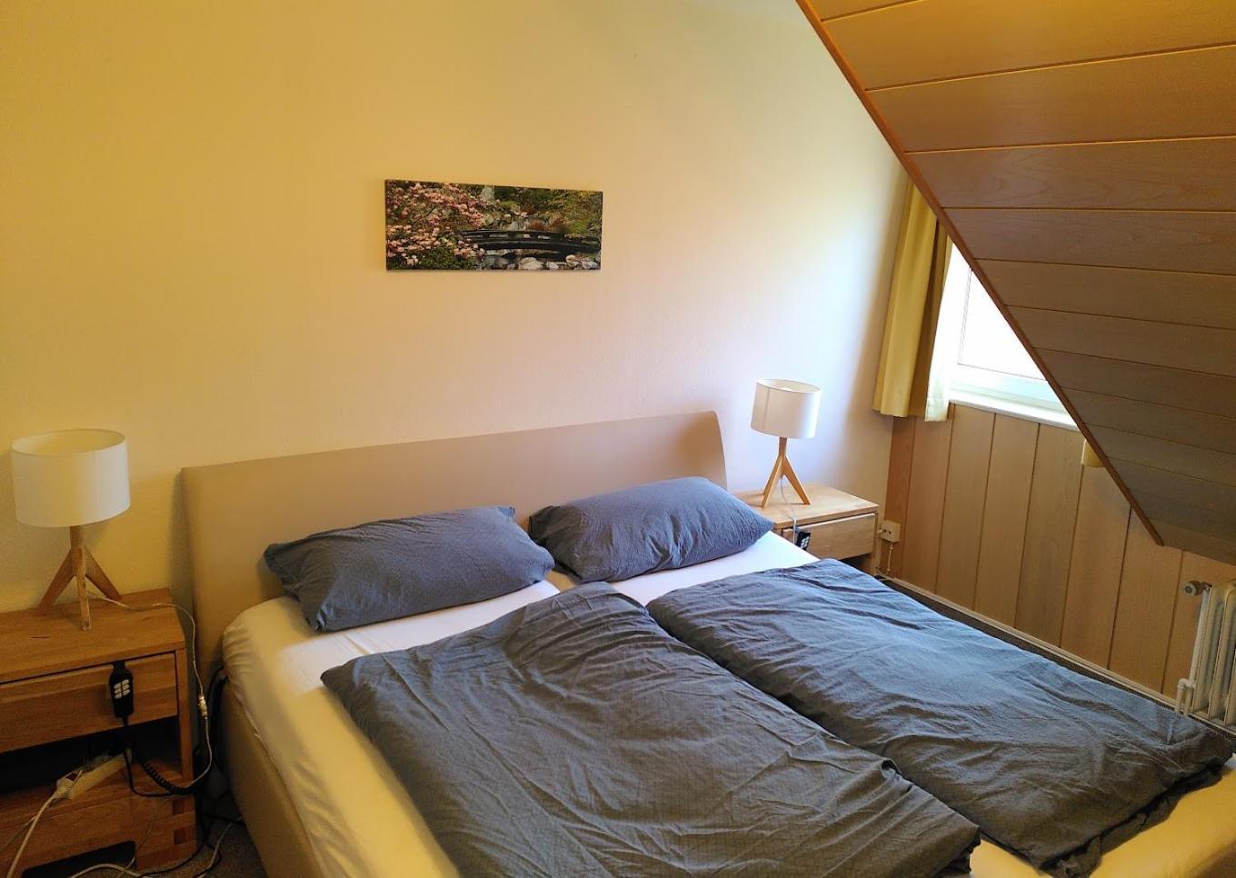 Bio-Hotel Zum Forsthaus アルテンアウ エクステリア 写真